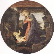 Sandro Botticelli Madonna in Adoration of the Christ Child (mk36) oil painting reproduction